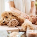 犬をメロメロにする…