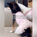 5000円の可愛い服が…