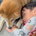 2歳の男の子が高熱に…