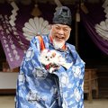 日本一ワンコに優し…