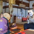 お寺で『ご祈祷』し…