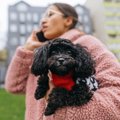 【NG】犬の散歩で『…