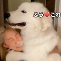 『1回だけ…お願い』…