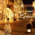 横浜の愛犬と過ごせ…