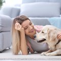 犬を甘やかしすぎる…