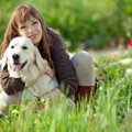 犬が「我慢」してい…