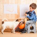 こんな簡単に！？犬…
