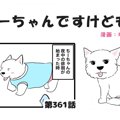 ちーちゃんですけど…