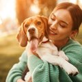 犬を飼うと実感する…