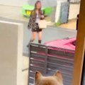 3週間ぶりに『実家の…