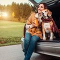犬を飼うと『人生が…