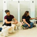 獣医師が解説！犬の…