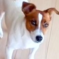 電話をしていたら、…