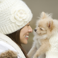 どの愛犬も『唯一無…
