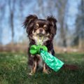 犬のウンチ袋が環境…