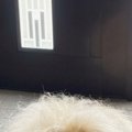『気温が高くなると…