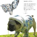 フレンチブルドッグ…