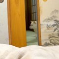 『お兄ちゃんが帰っ…