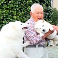 『犬から愛され過ぎ…