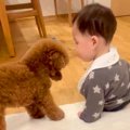 ガチで仲良しな『ト…