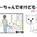 ちーちゃんですけど…