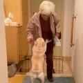 おばあちゃんと犬が…