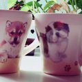 愛犬家必見！おしゃ…
