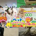 是非、また来年も行…