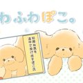 ふわふわぽこ。【第4…