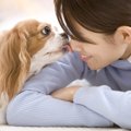 犬が飼い主の顔を舐…