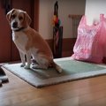 みなまで言うな！可…