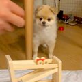 『車がレールを走る…