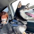 『嫌な予感がする…』…