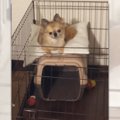 「なぜそうなった？…