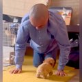 犬を飼うことに反対…