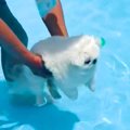 初めてプールで泳ぐ1…