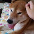 ひとりぼっちのお母…
