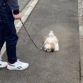 「そのポーズ可愛す…