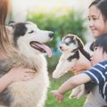 愛犬が家族にもたら…
