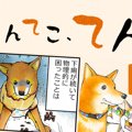 てんてこ、てん。【…