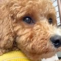 雨の日、抱っこでお…