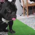 名キャディ誕生？！…