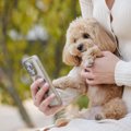 愛犬のことが大好き…