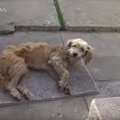 動けない程の痛みの…