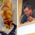 帰省してきた兄→犬に…