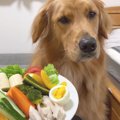 愛犬の食べ物の好き…