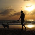 老犬の散歩で飼い主…