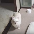 「これじゃない…」期…