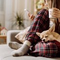 犬が飼い主に『体を…