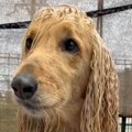 ロングヘアがうねう…